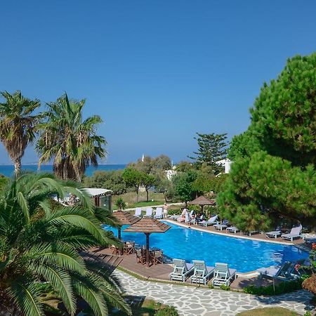 Alkyoni Beach Hotel Naxos City Exteriér fotografie