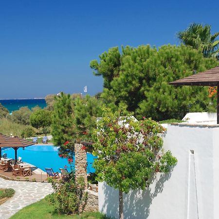 Alkyoni Beach Hotel Naxos City Exteriér fotografie