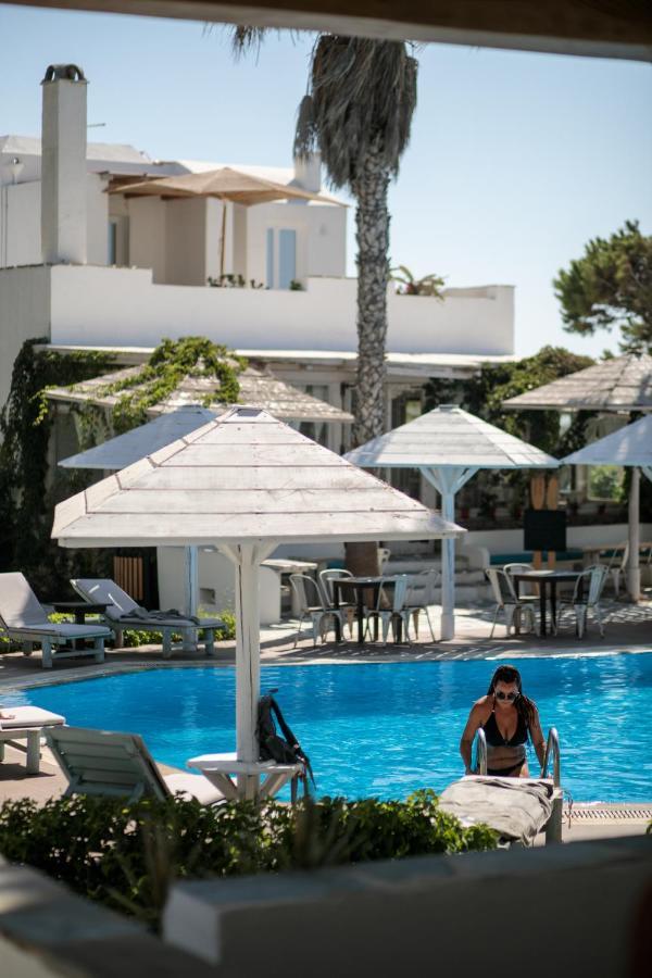 Alkyoni Beach Hotel Naxos City Exteriér fotografie