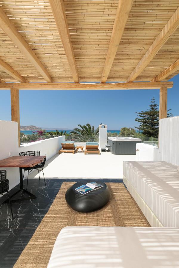 Alkyoni Beach Hotel Naxos City Exteriér fotografie
